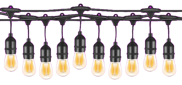 Ledlite Party Festoon Light